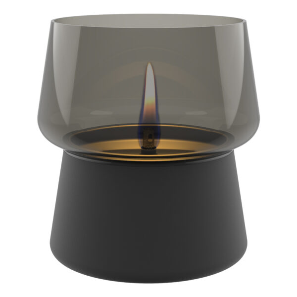 Tenderflame Amaryllis  Toned Glass